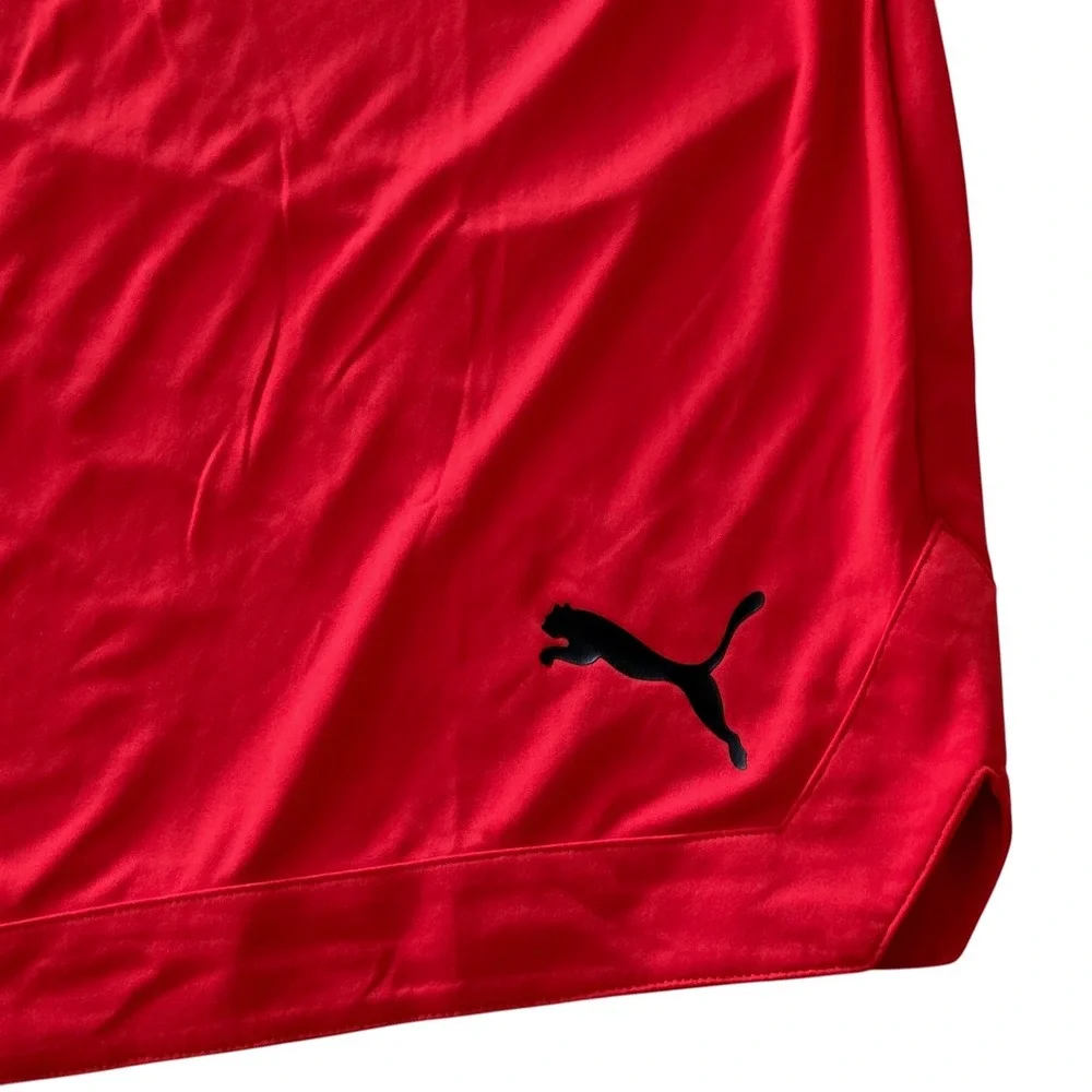 Puma Mens RTG Shiny Fabric Shorts Red DryCell Athletic10 